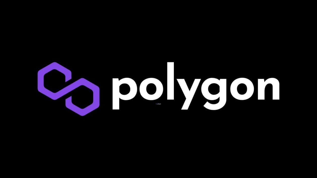 Polygon Relaunches Village Grant Program Worth ~$90M image