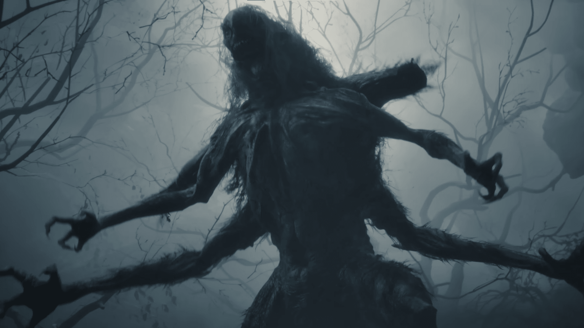 Project Polaris The Witcher 4 banner 5.png