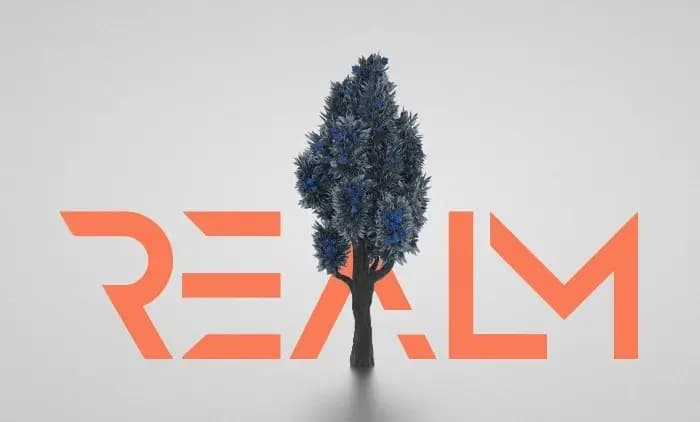 REALM banner.webp