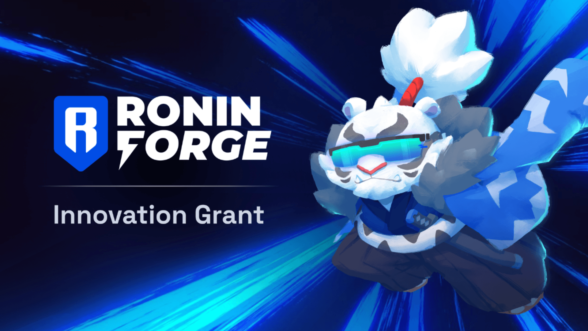 Ronin Forge $300K Innovation Grant