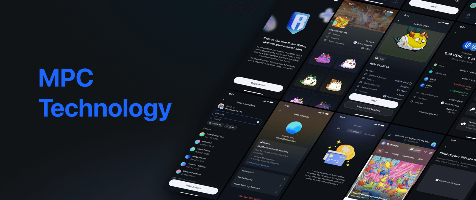 Ronin Wallet 2024 2.png