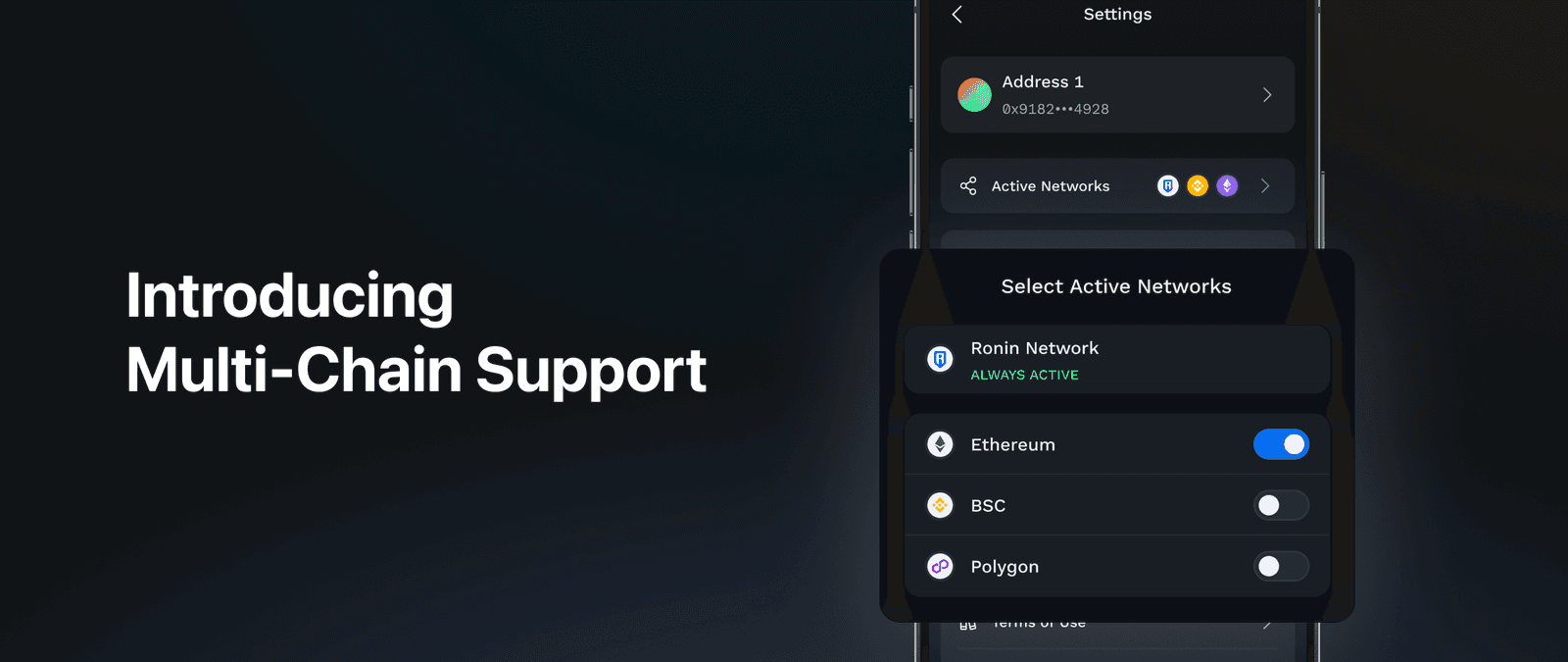 Ronin Wallet 2024 3.png