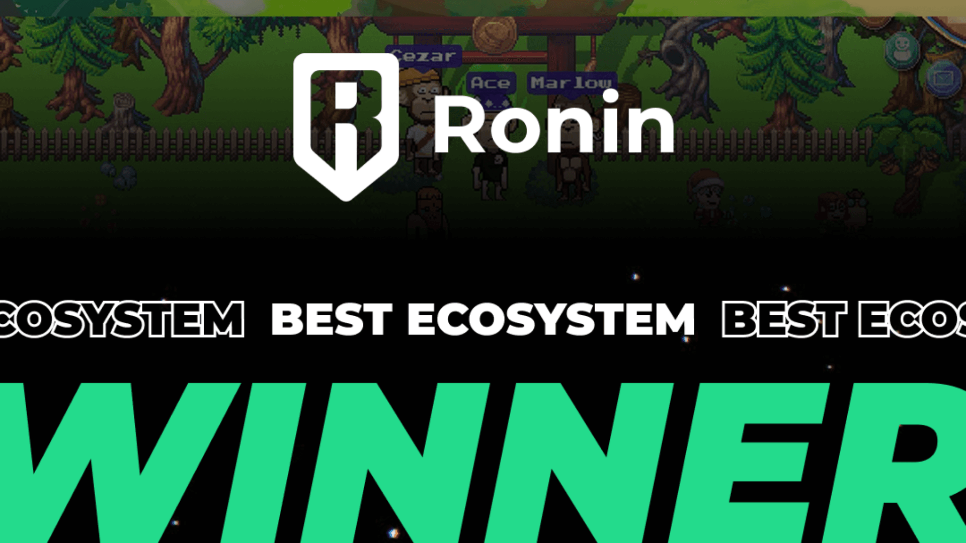 Ronin Wins Best Ecosystem