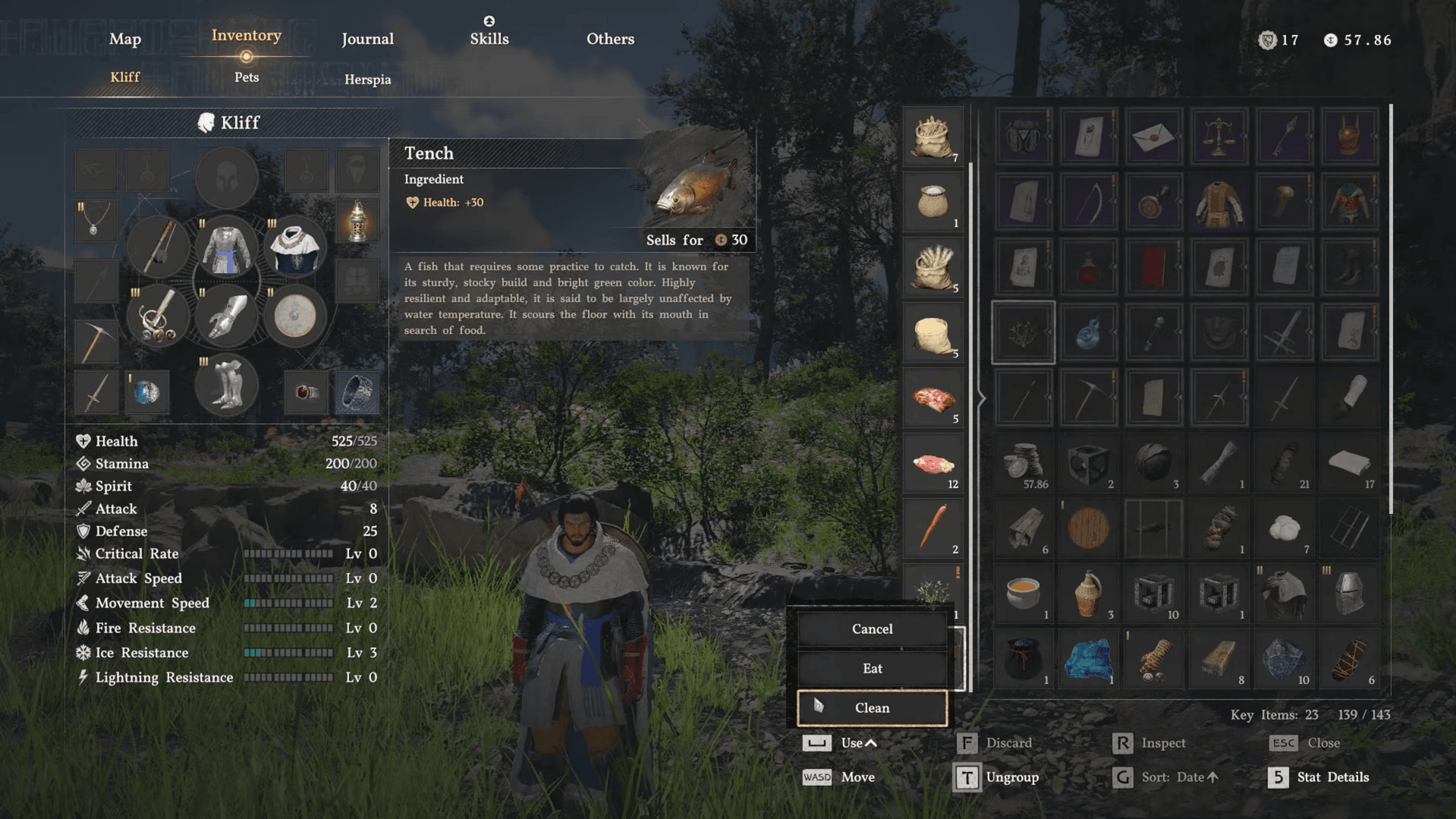 Crimson Desert Guide: How to Get Fish Fillet