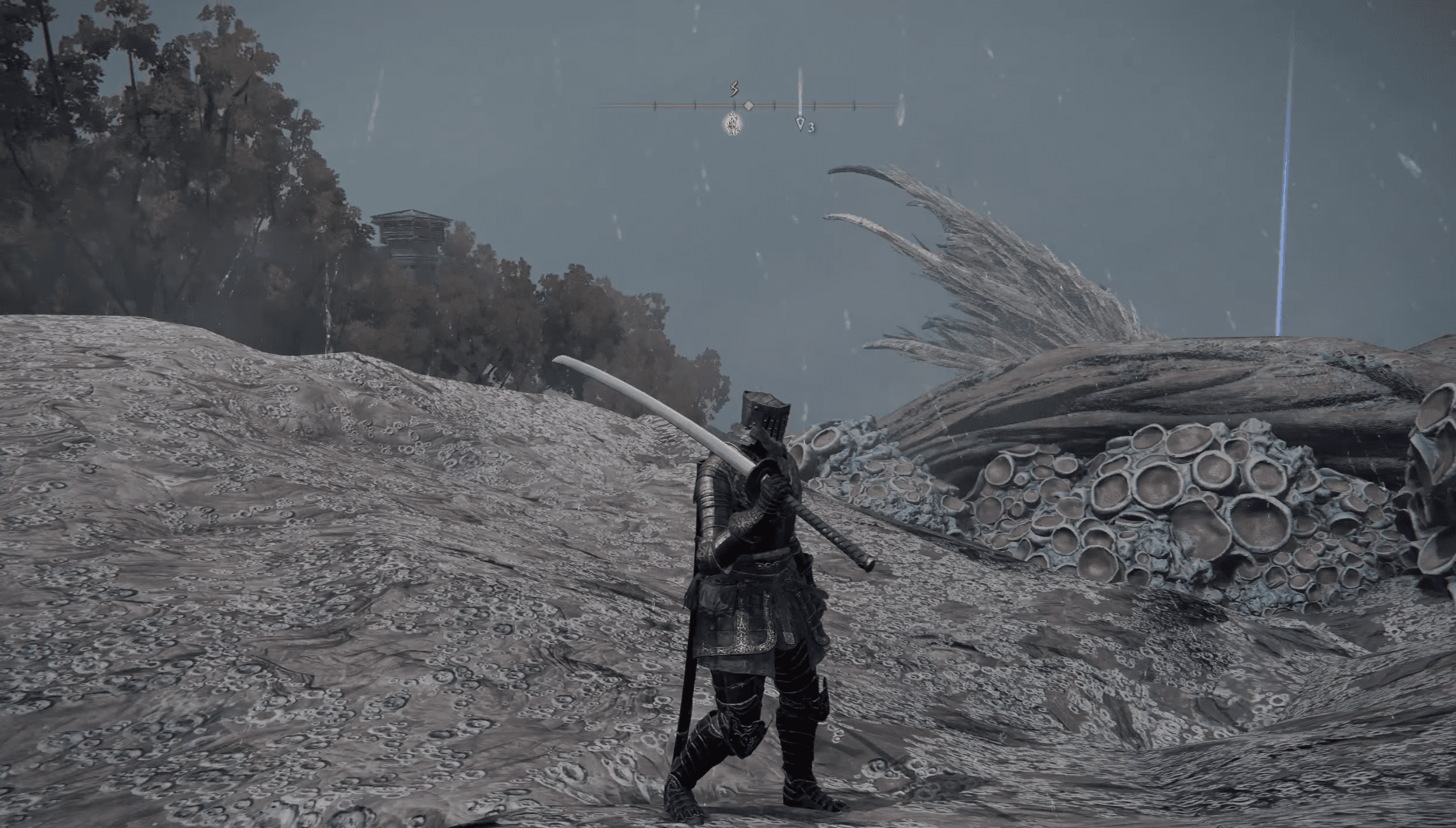 Elden Ring Tarnished Guide: Where to Find Reed Great Katana