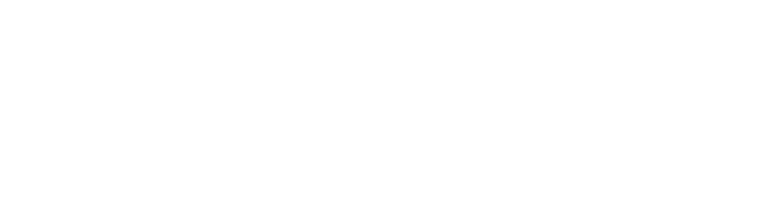 StrayShot logo.png