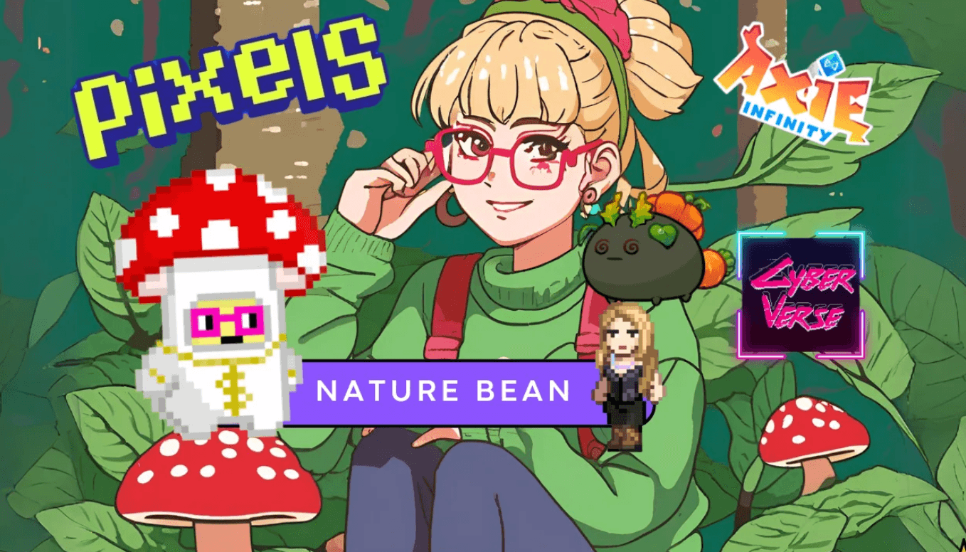 What is the Pixels Creator Program?