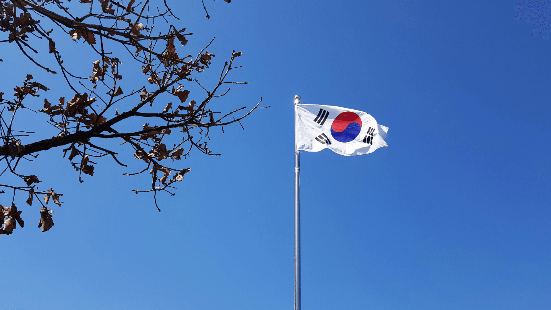 Why Web3 Matters in the Korean Gaming Scene