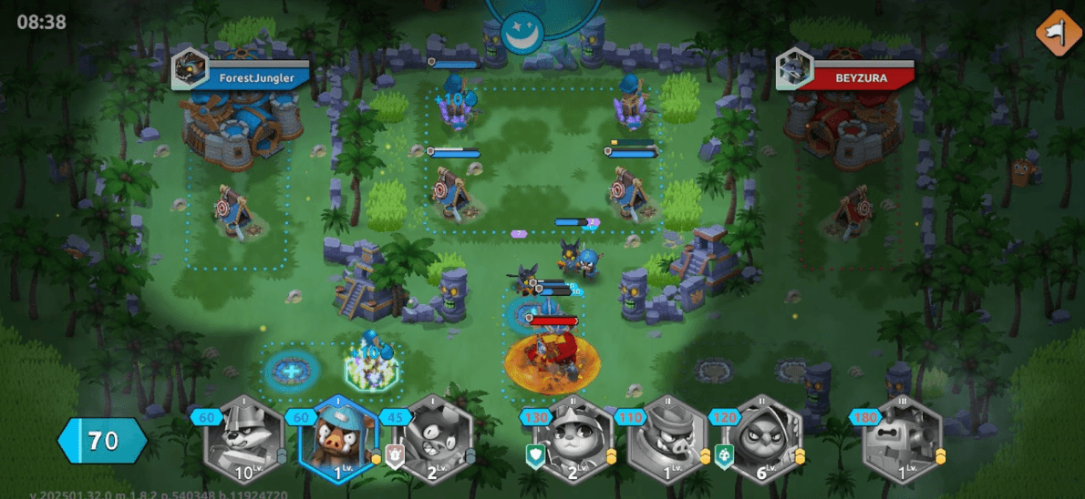 Wild Forest Reveals One-Year Report