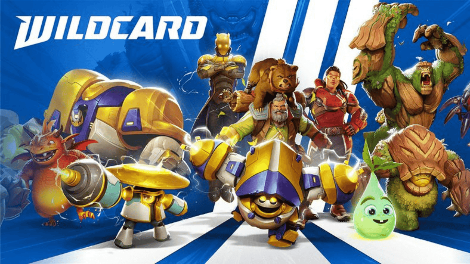 Wildcard Announces $WC Token Airdrop image