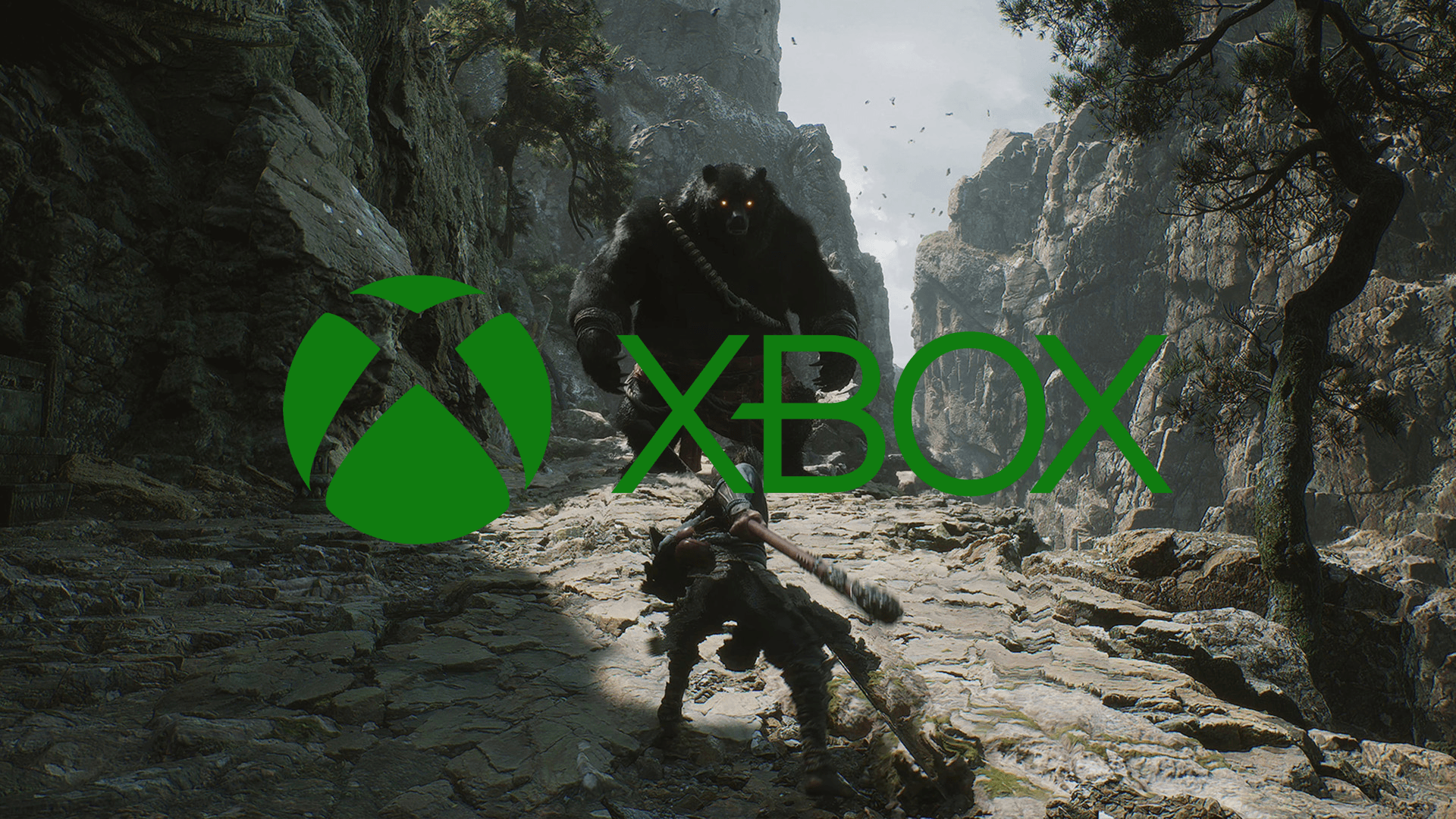 Xbox Adds Games for August 2025