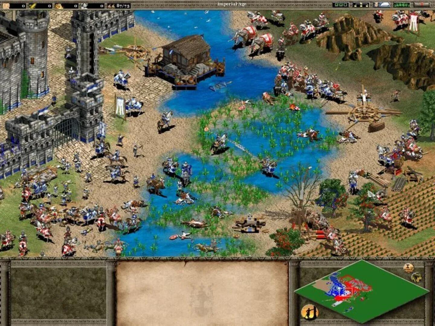 Age of Empires II: The Age of Kings Banner