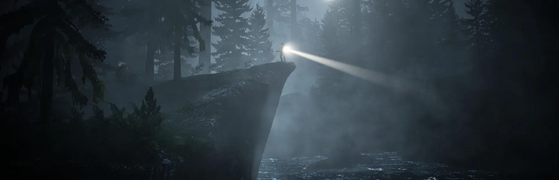 Alan Wake Banner