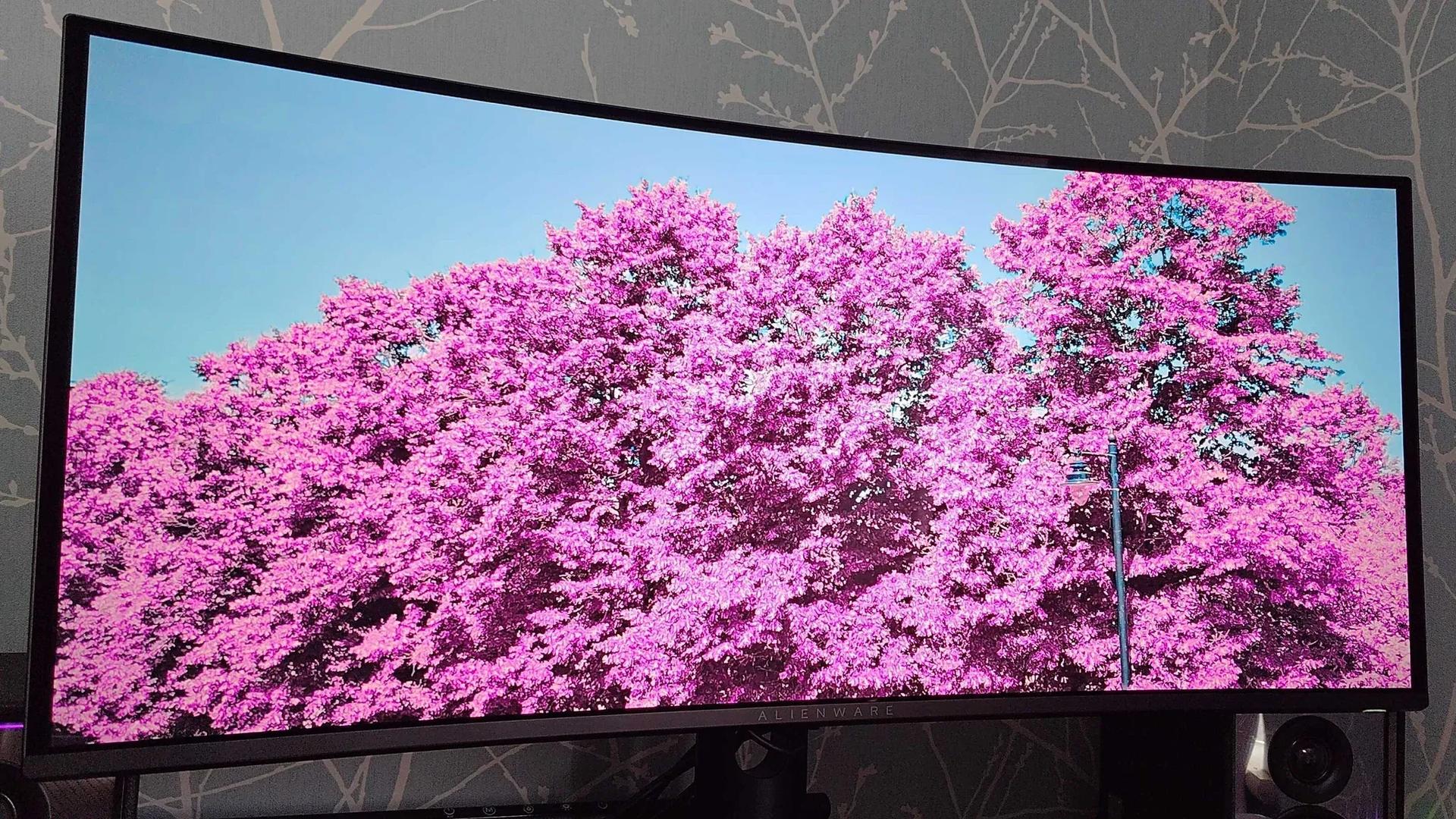 The Alienware AW3426DW is easily the best 34-inch ultrawide OLED I've ever  used, and it's made me want to abandon my 45-inch monitor | TechRadar