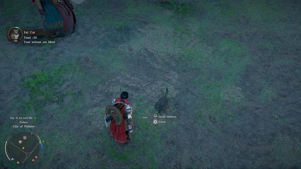 Köpekler savaş sırasında otomatik ganimet toplar