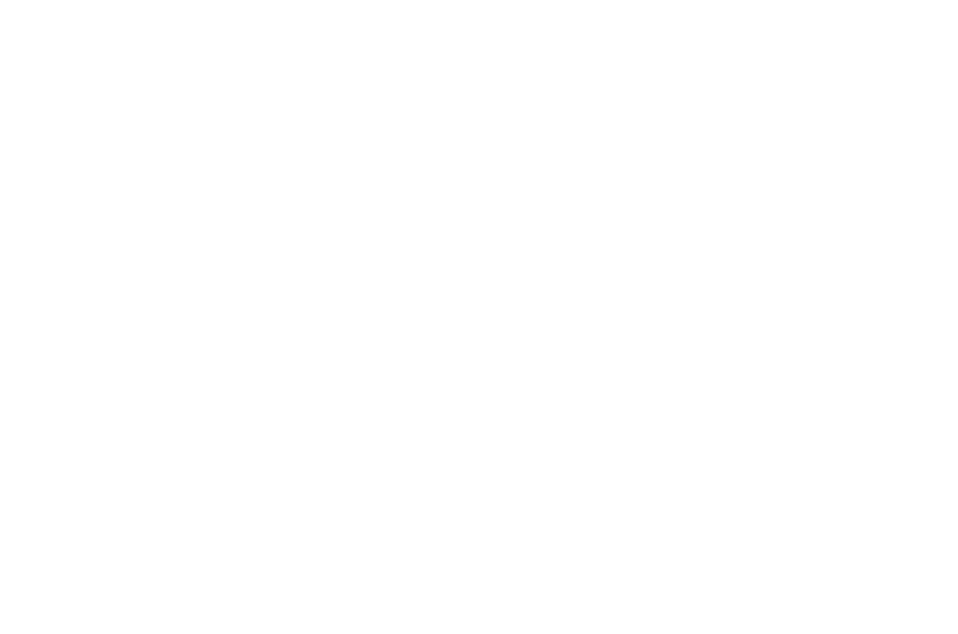 aphelion white logo.png