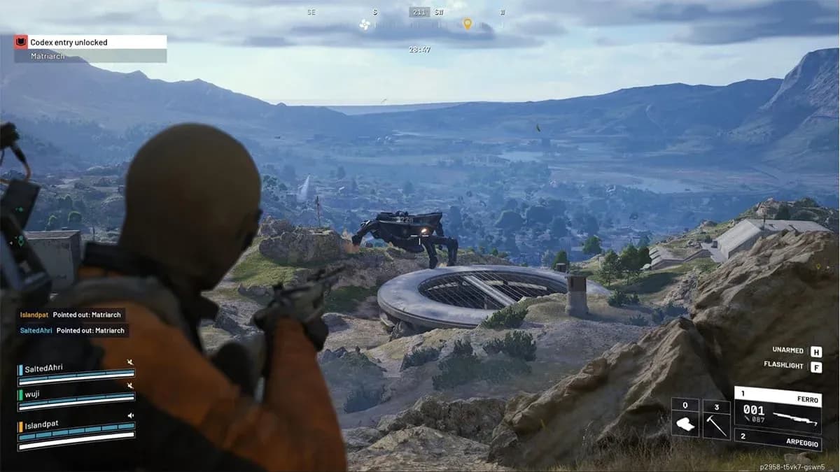 Hornets patrol near exfil zones