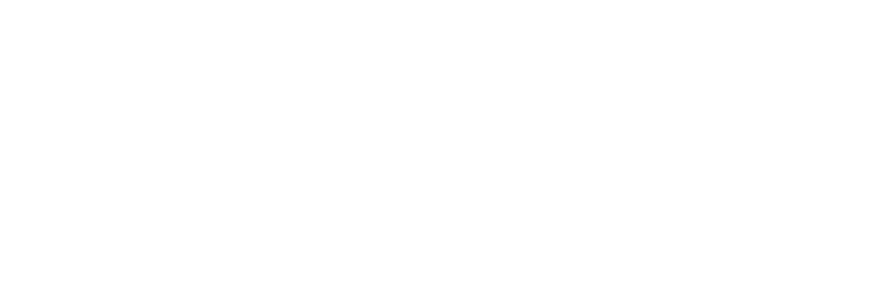 Beholder 2 Logo