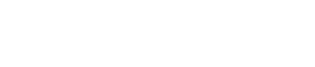 Bulletstorm Logo