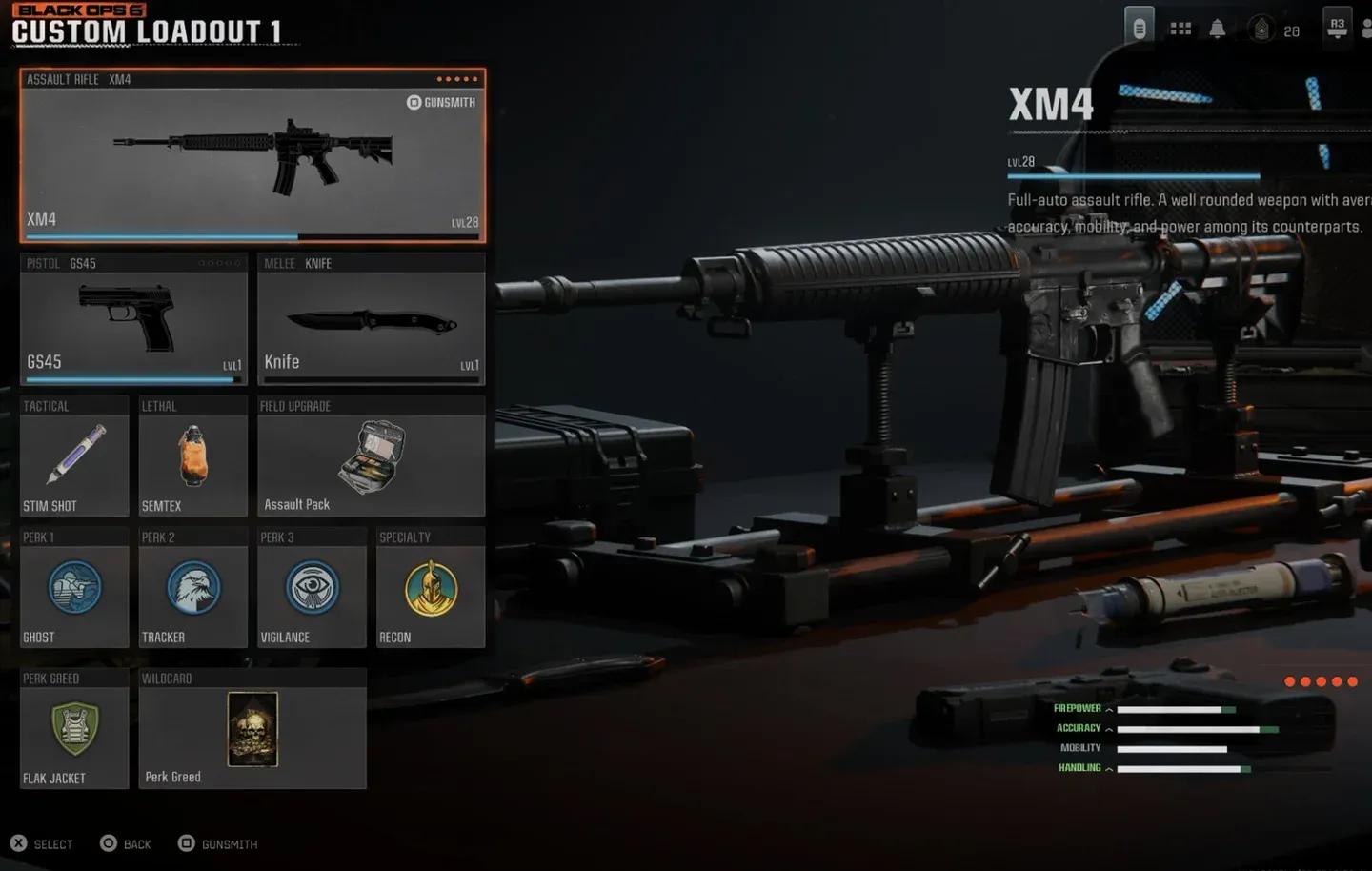 AR loadout with camo applied