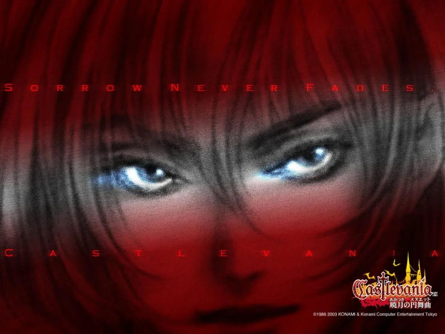 Castlevania: Aria of Sorrow Banner