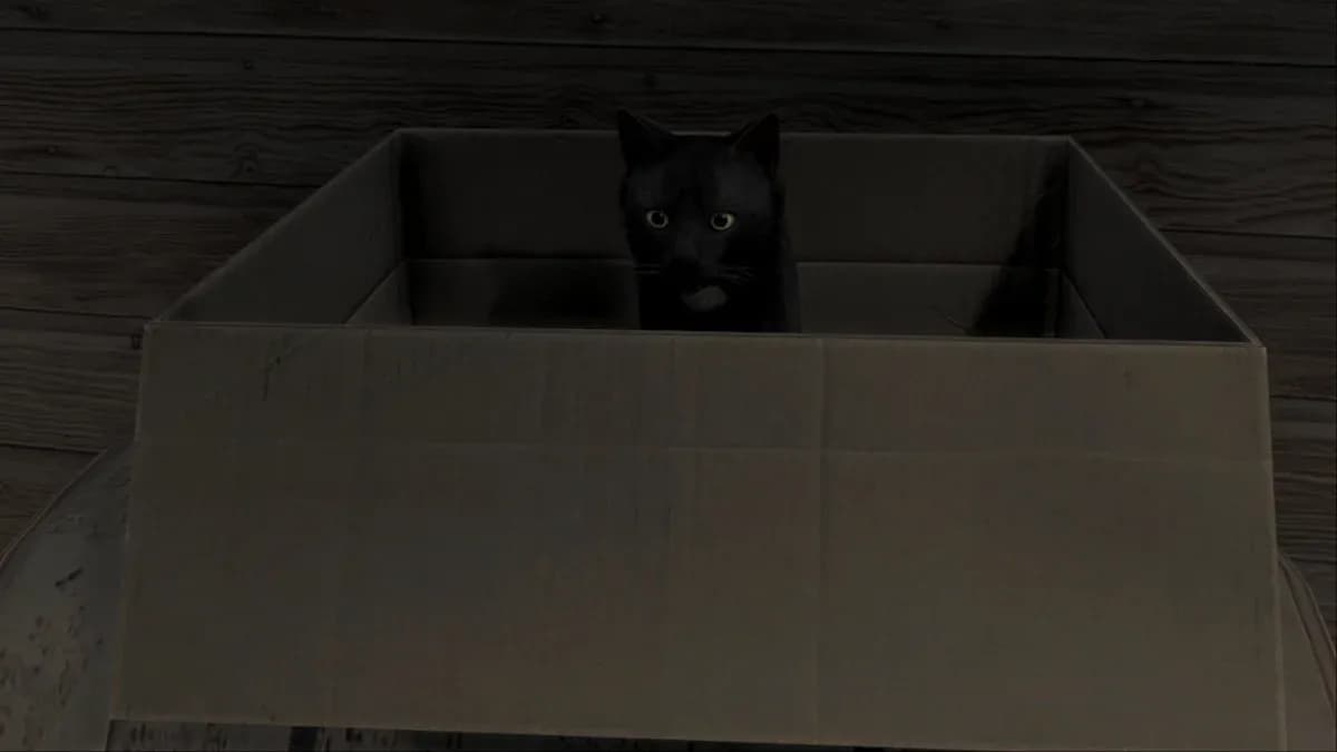 通往前哨站的桥梁路径