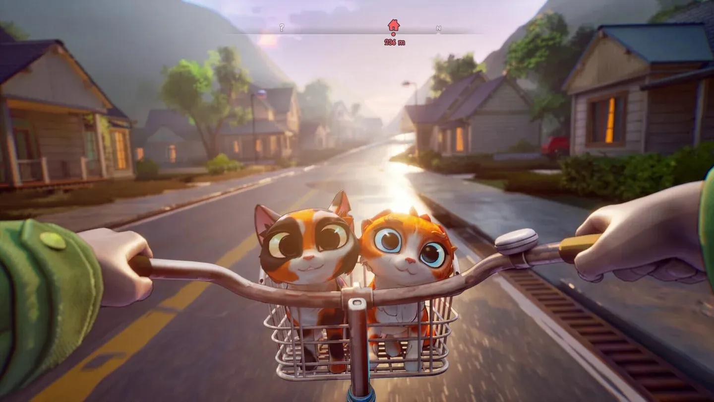 Cat Parents Gallery 7