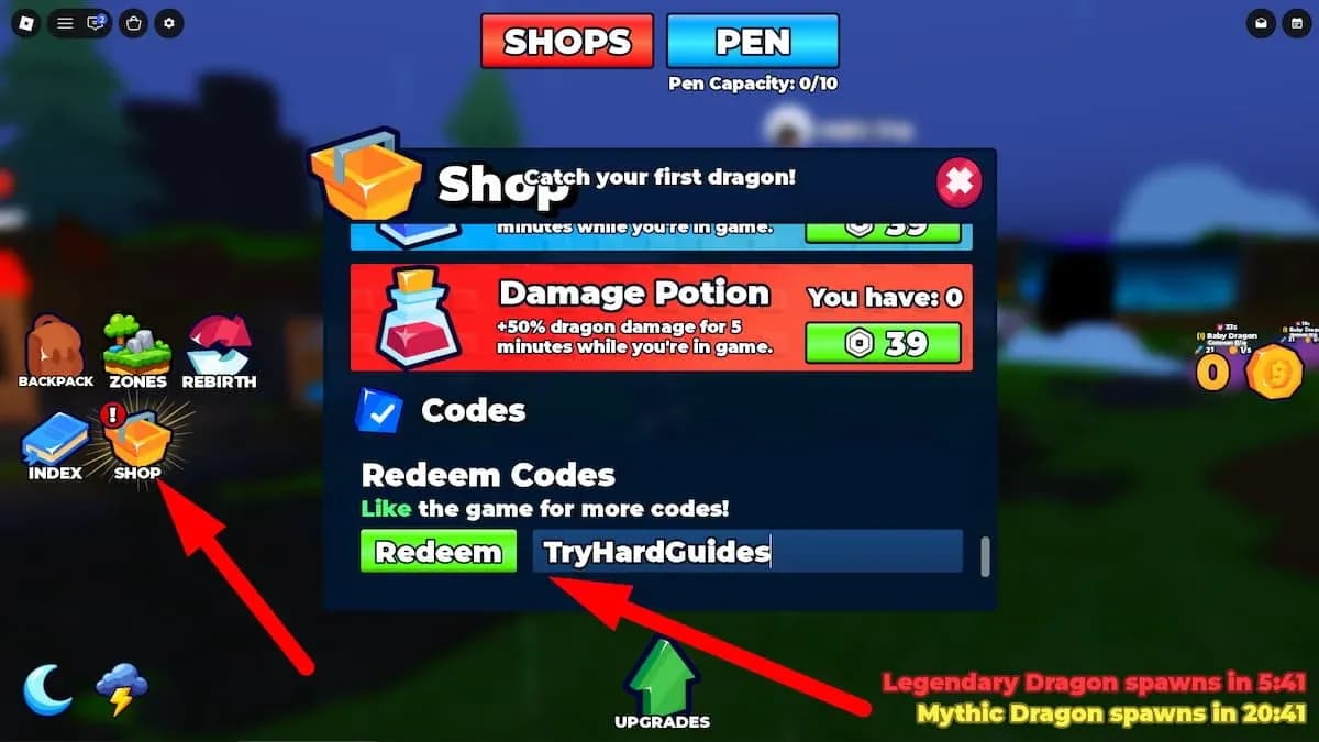 Shop code redemption panel