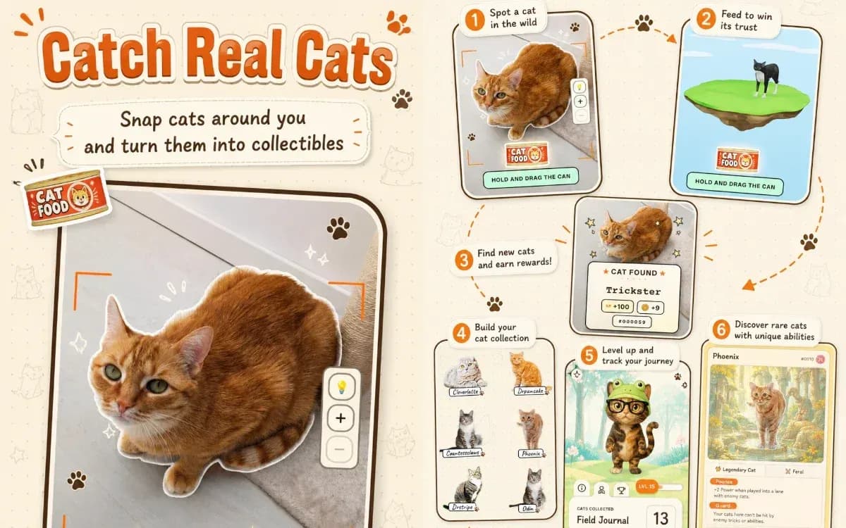 Except You Get To Collect Real Cats ...