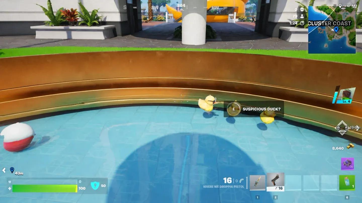Suspicious Duck spawn spots