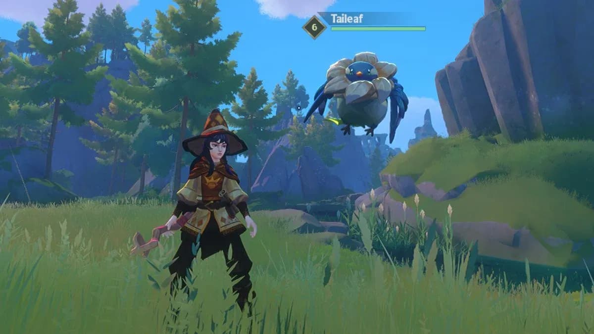 Bonding with a creature spirit