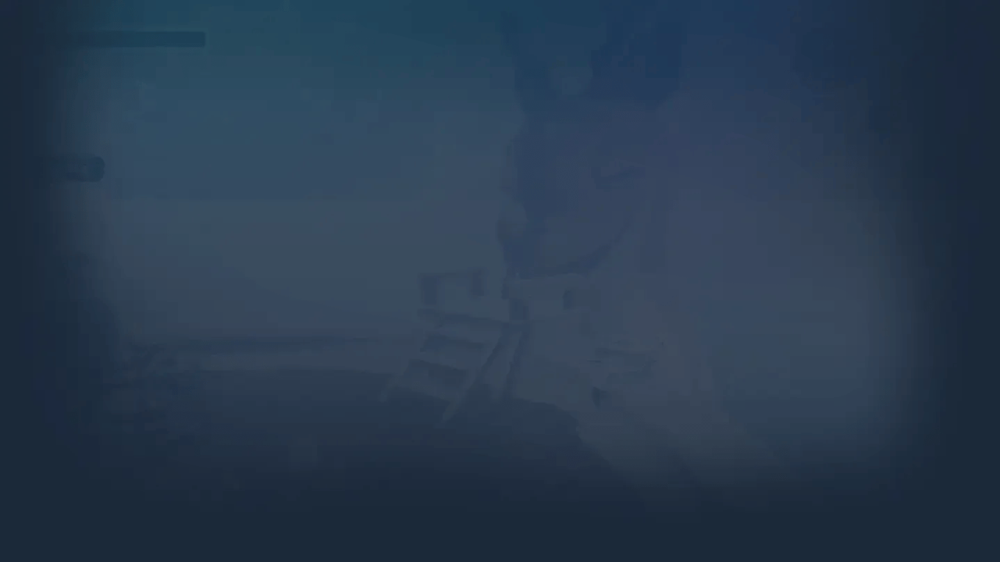 Collector's Cove Banner