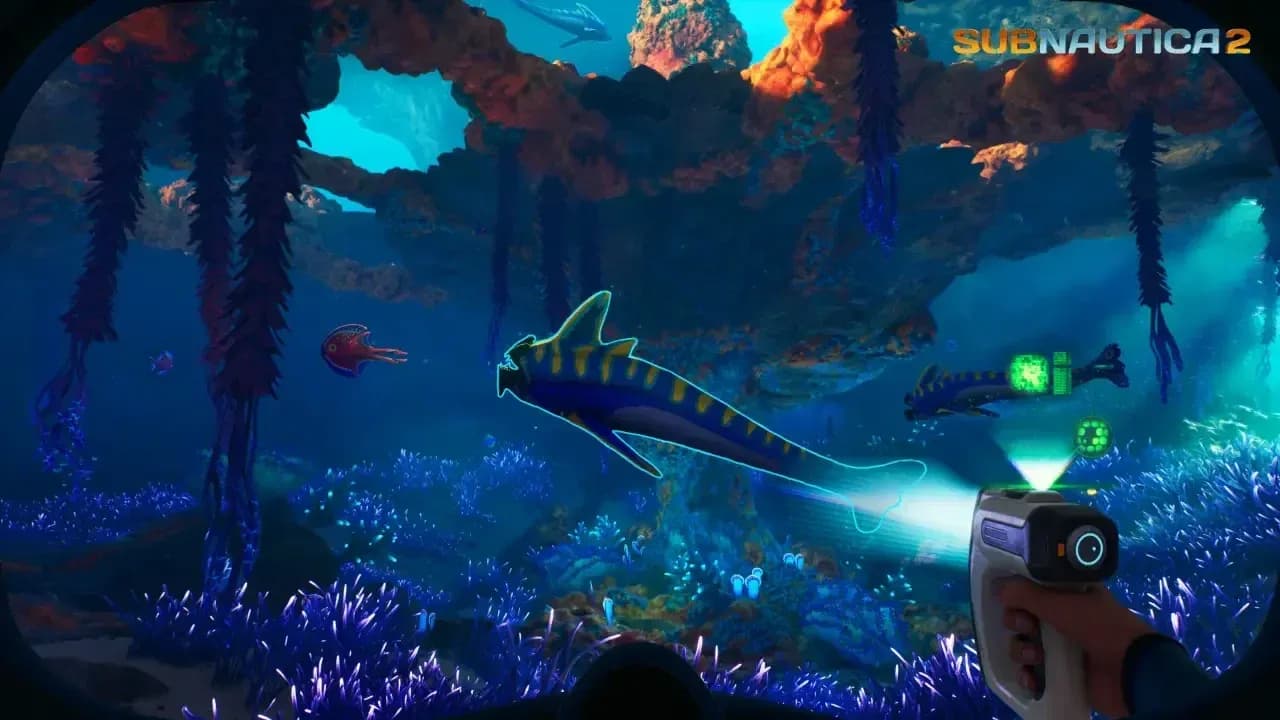 Coral flora biome overview