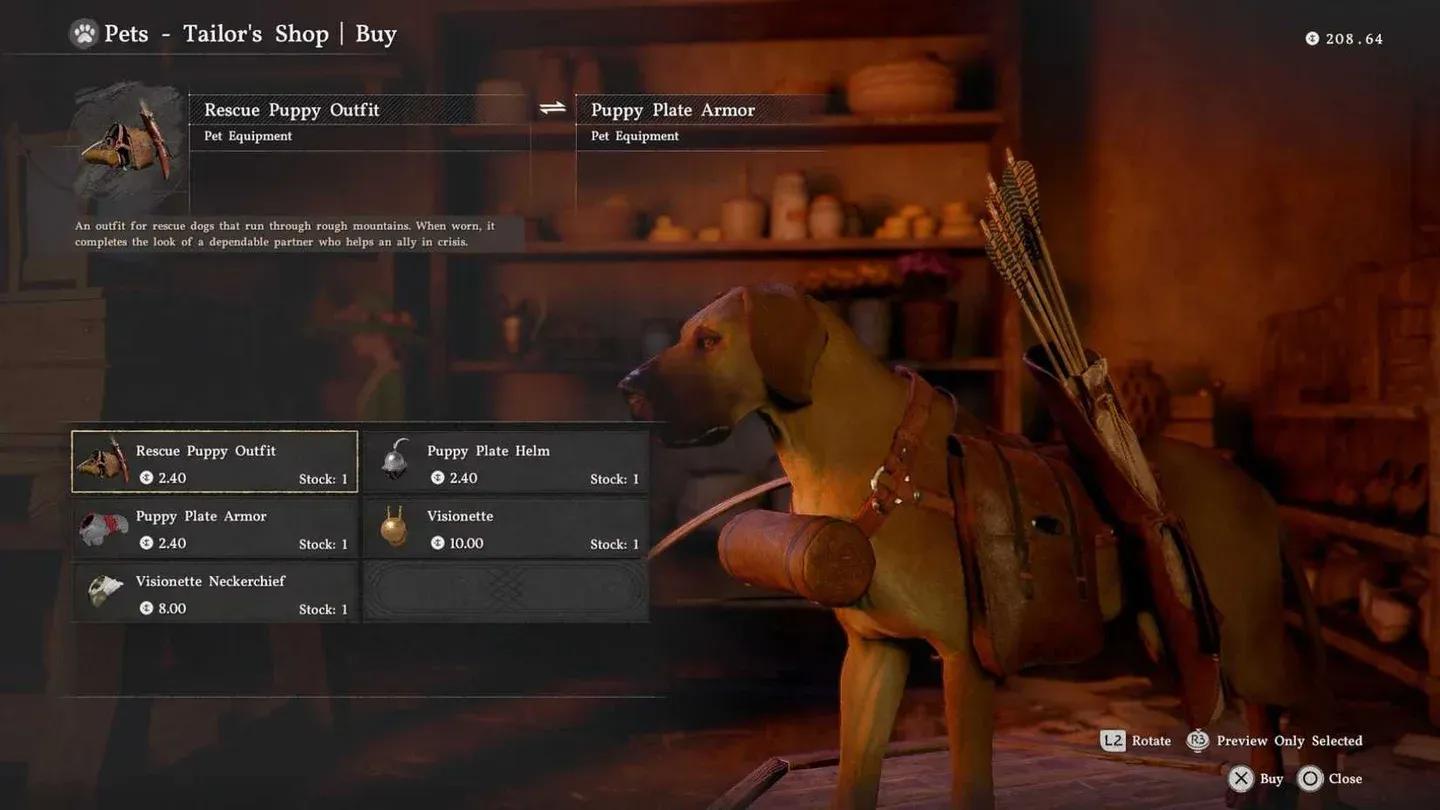Pets tab accessory slot view