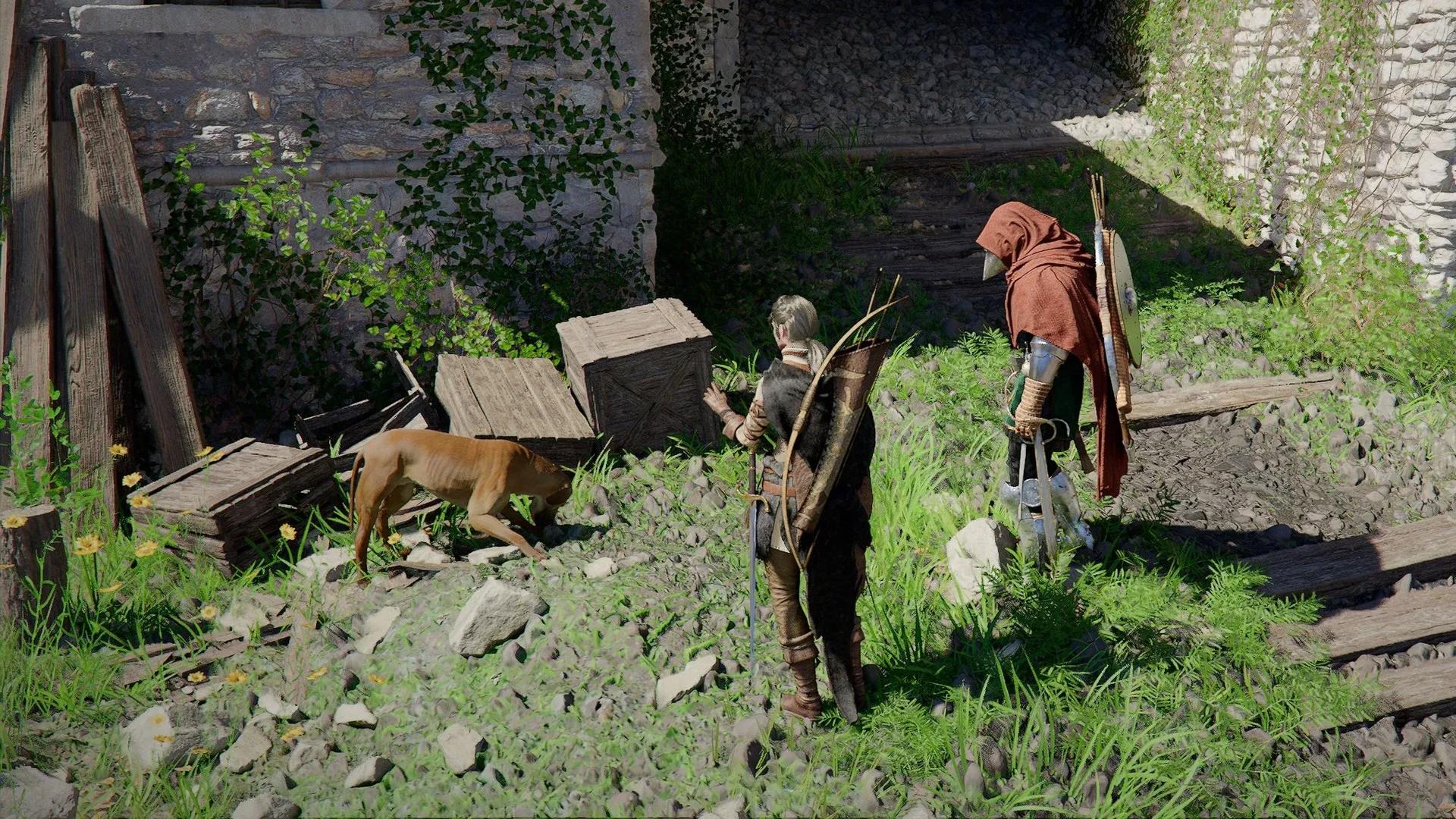 How to get pets in Crimson Desert | PC ...