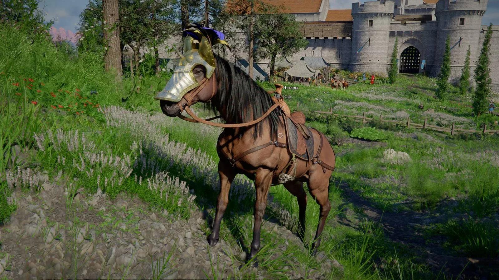 Ultimate Horse Guide In Crimson Desert