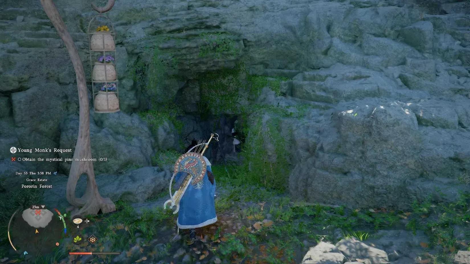 Mystical Pine Mushroom Location (Young ...