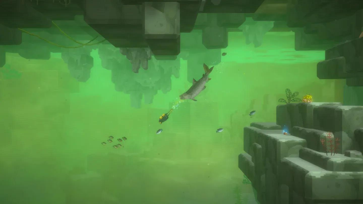 Vegetation Cave entrance location