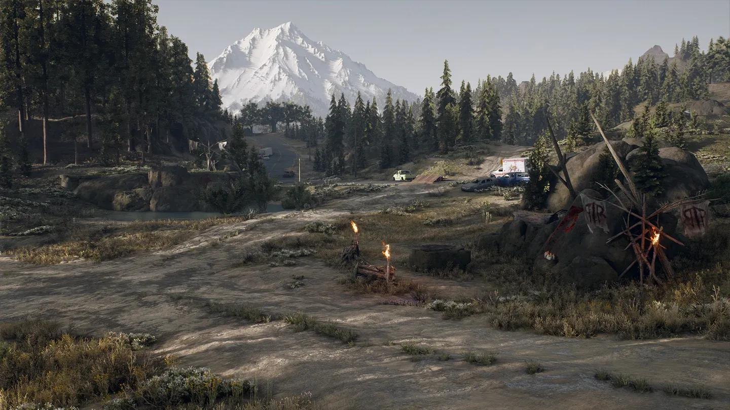 Days Gone Gallery 10