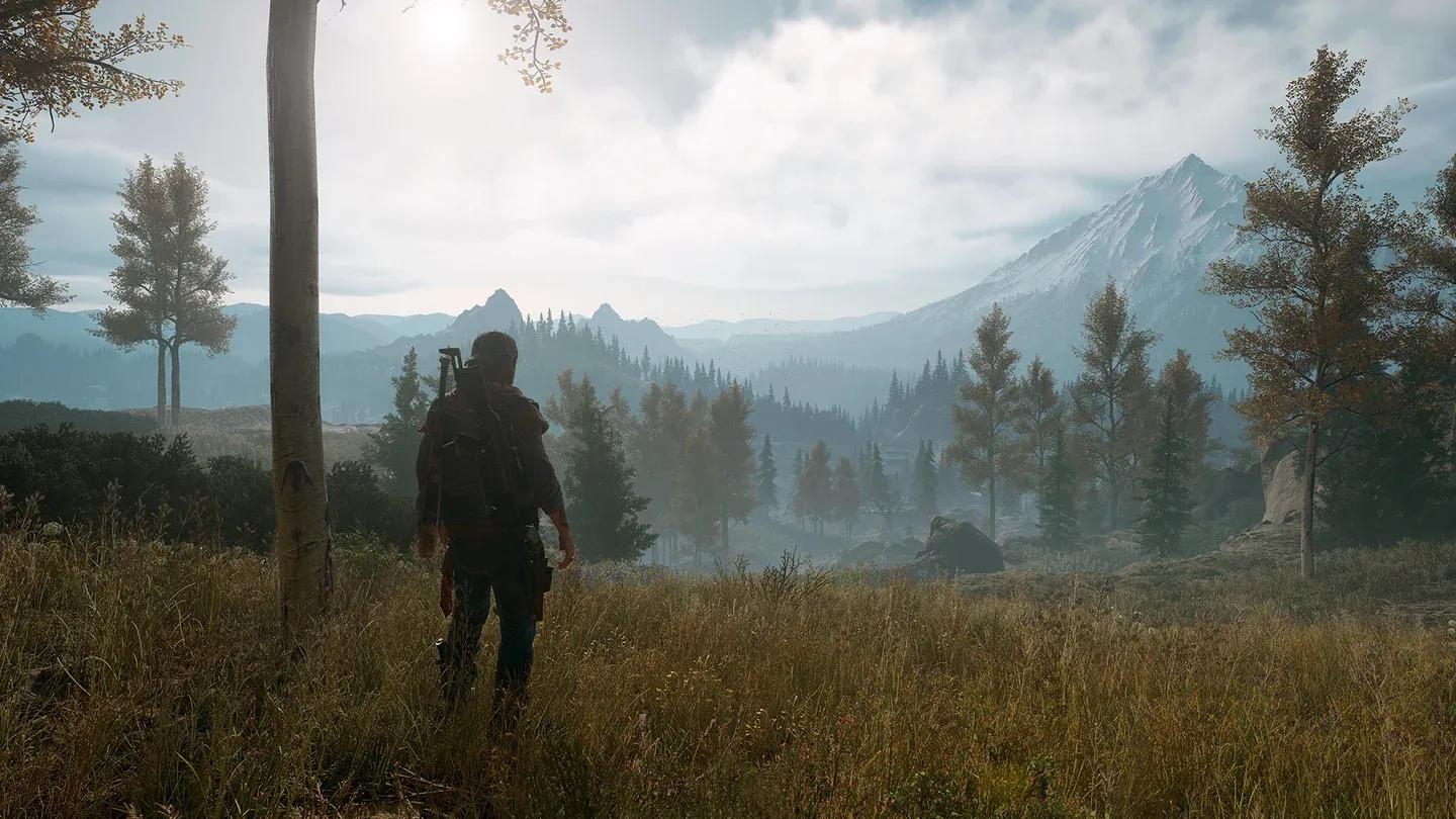 Days Gone Gallery 6