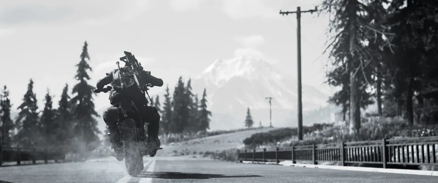 Days Gone Gallery 8