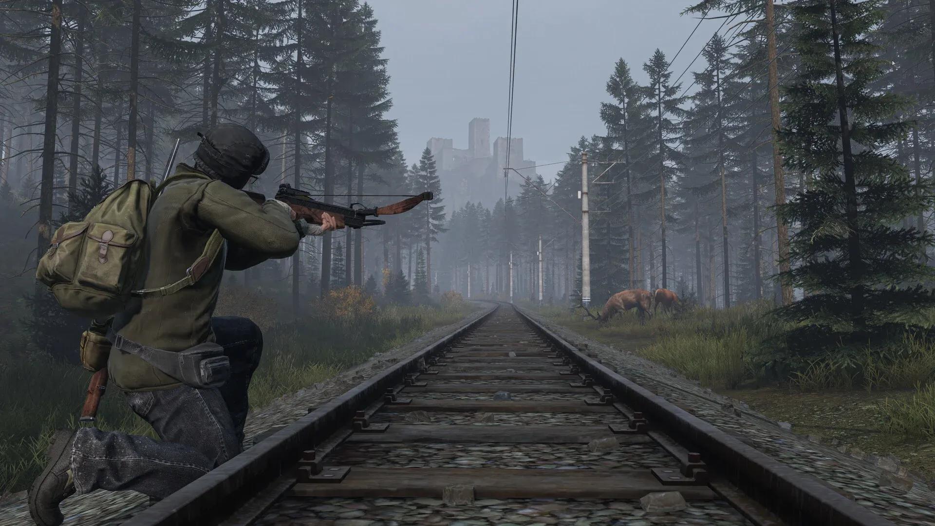 DayZ Screenshot 13
