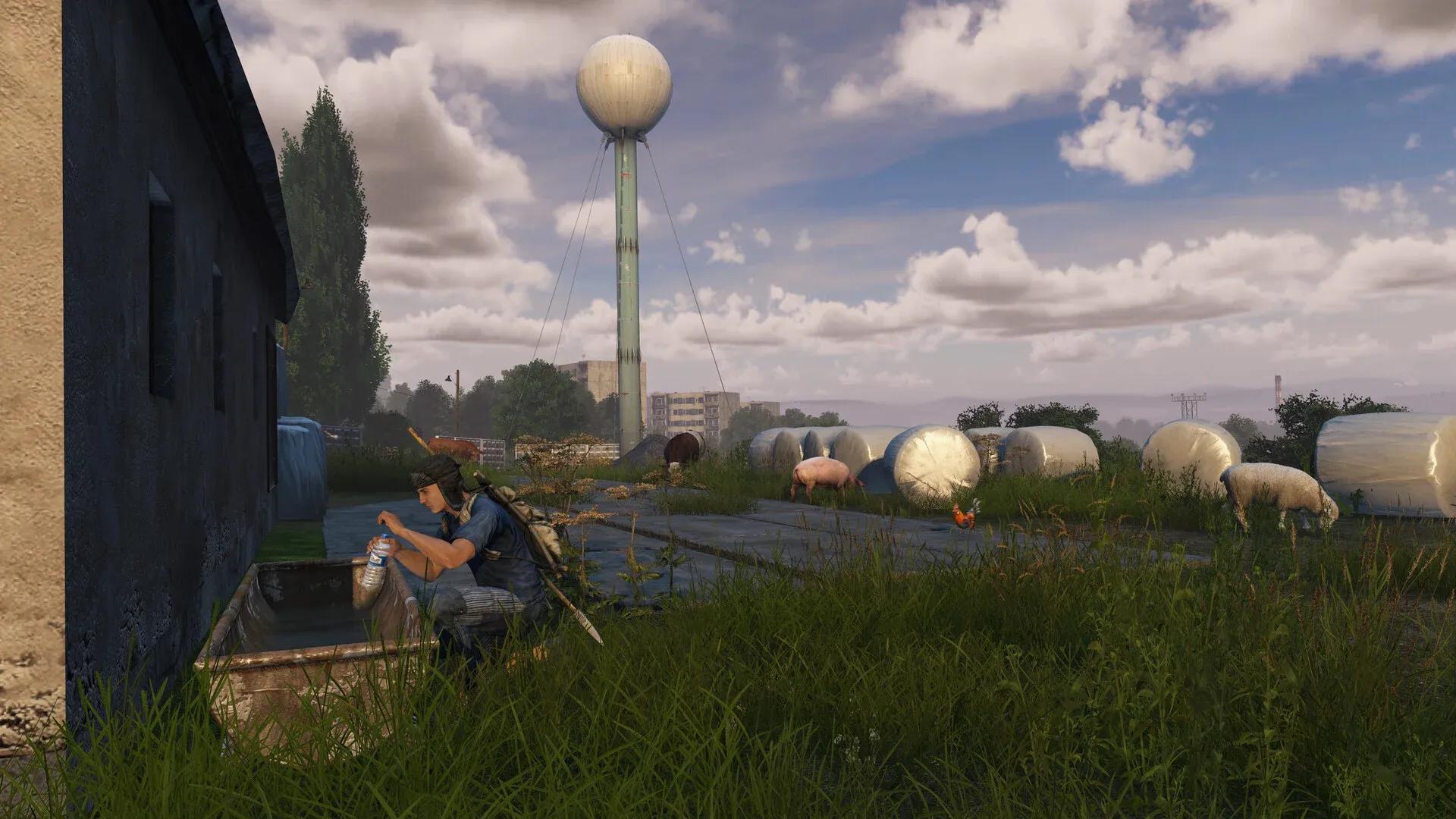 DayZ Screenshot 17