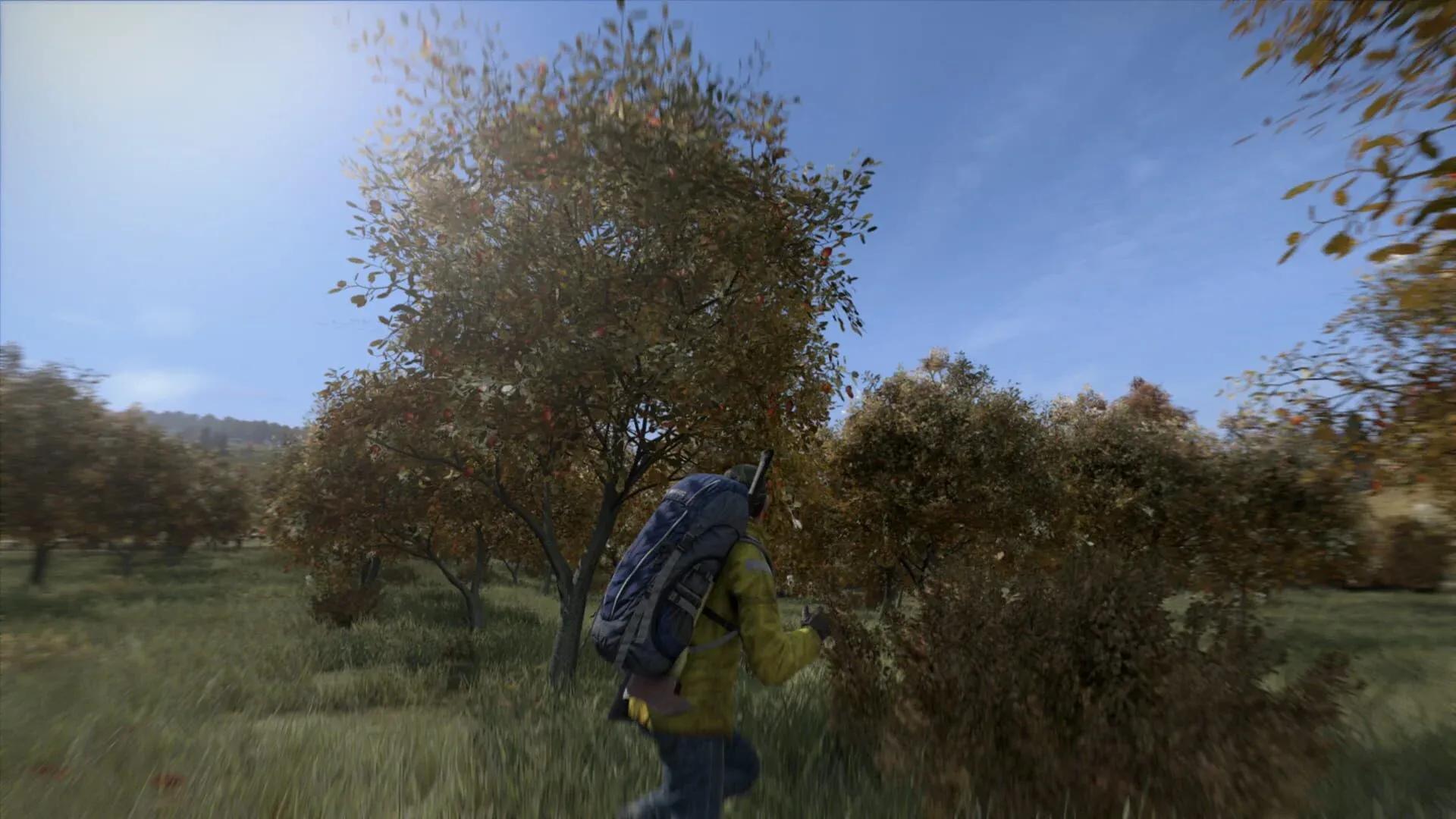 DayZ Screenshot 22