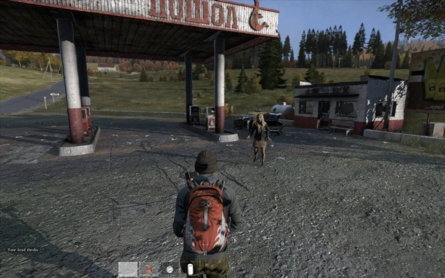 DayZ Screenshot 24