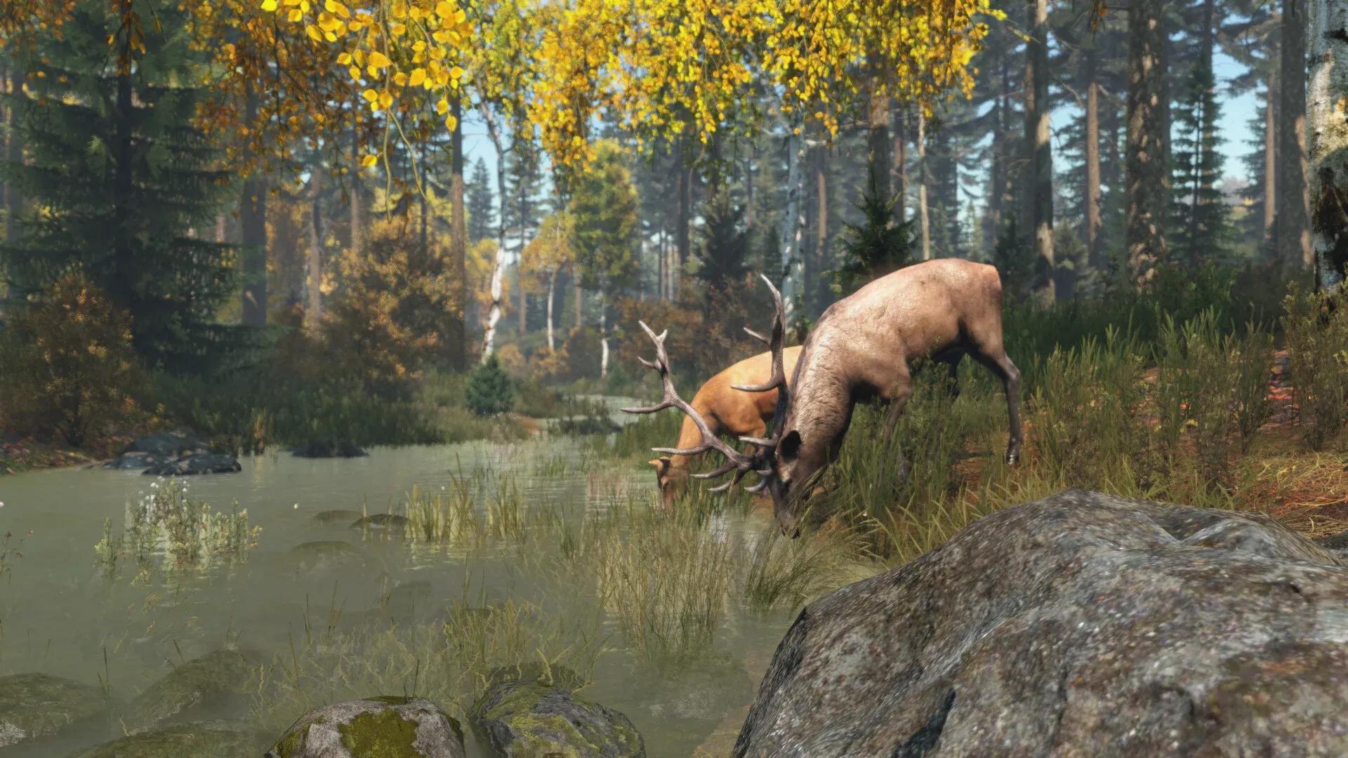 DayZ Screenshot 2