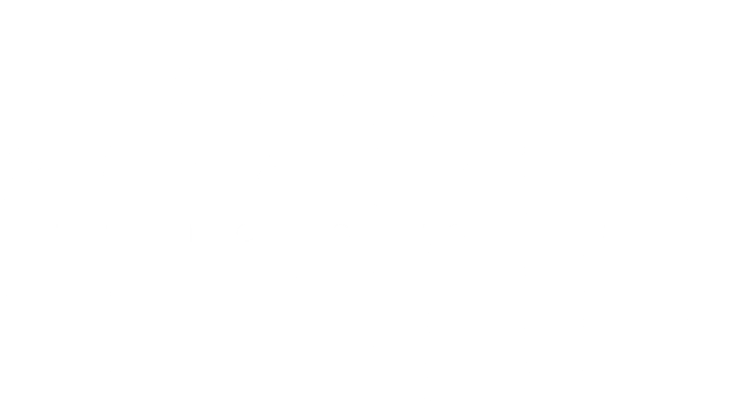 Death Stranding: Director's Cut Logo