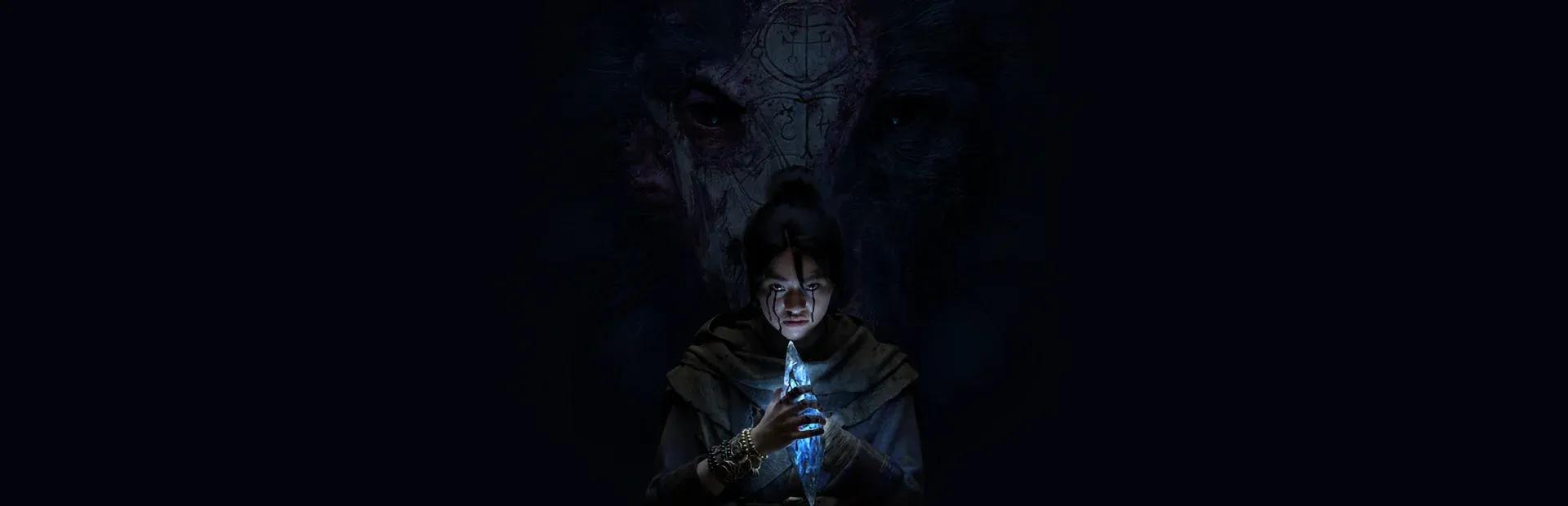 Diablo V Banner