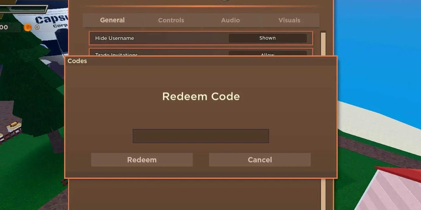Settings panel code entry