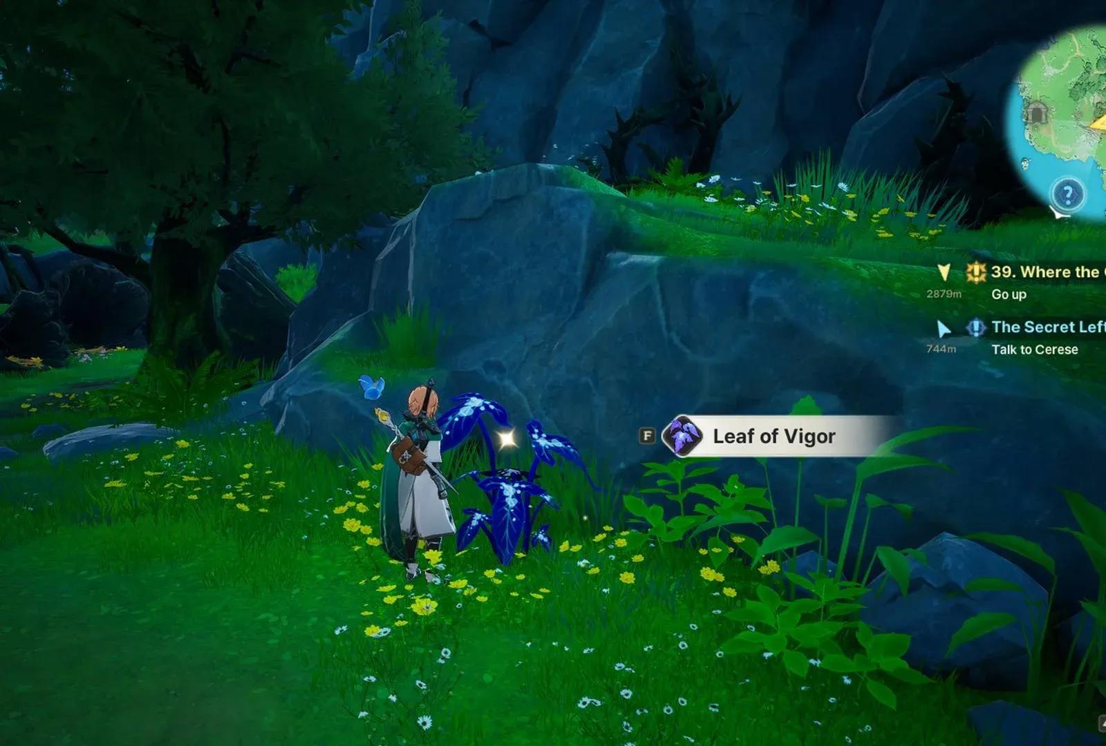 Leaf of Vigor Location in DragonSword Awakening